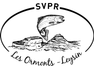 logo ban transp